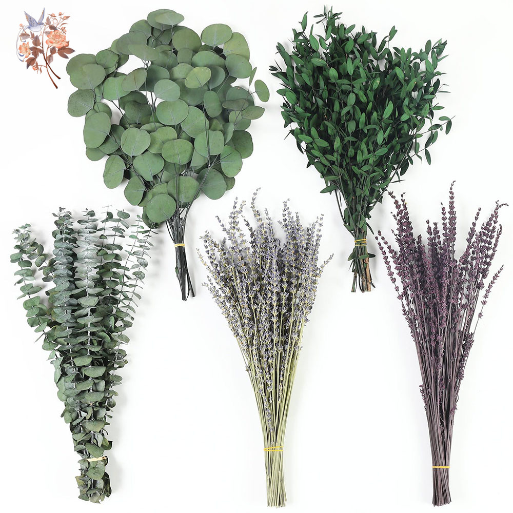 110Pcs Mix Dried Eucalyptus Le - огляд і ціна Home Fragrance Fillers