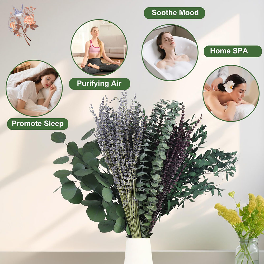 110Pcs Mix Dried Eucalyptus Le - огляд і ціна Home Fragrance Fillers
