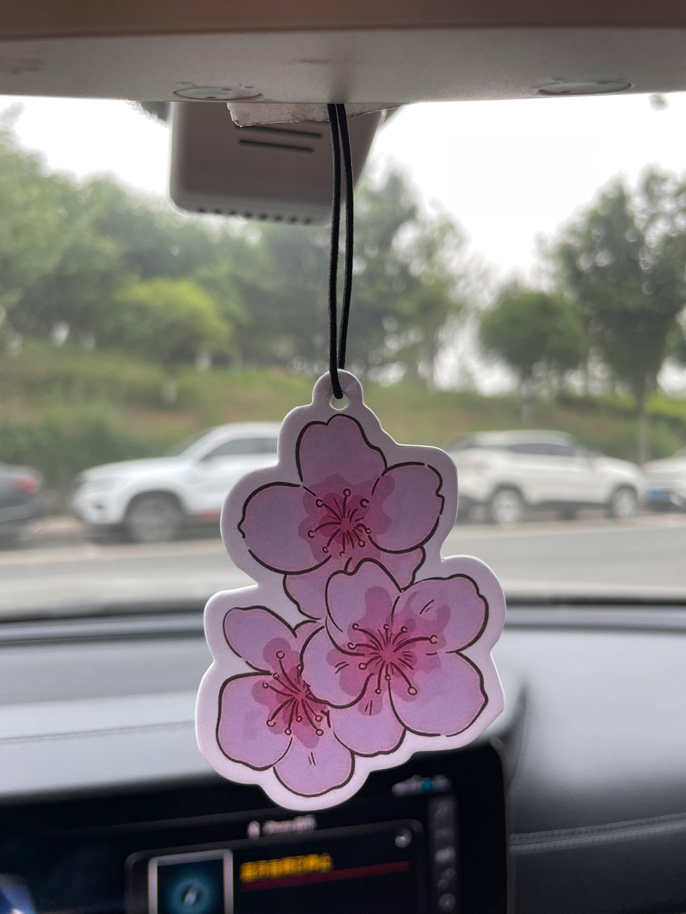 Sakura/Freesia Fresh Scent Fiv - огляд і ціна Home Fragrance Use